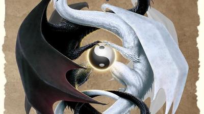 Yin and Yang Dragons