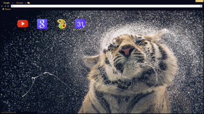 Rainy Tiger