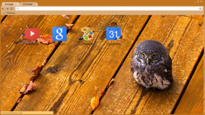 Owl Theme