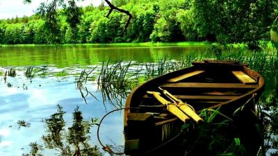 Boat on the River