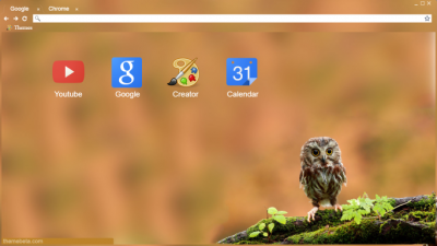 Owl Theme