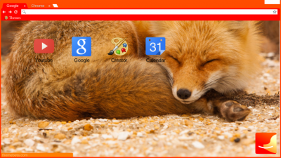 foxOS Chrome