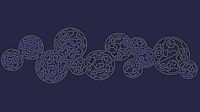 Gallifreyan Sherlock quote