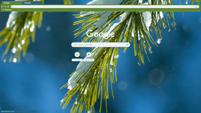 Minimal Winter Pine