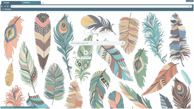 Native Feathers