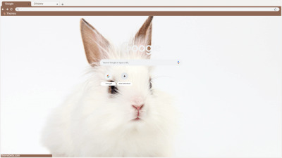 Rabbit Theme