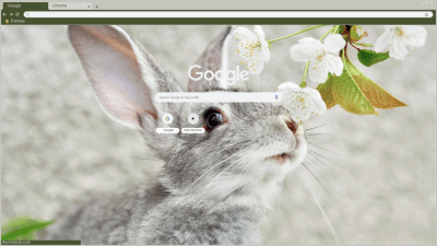 Rabbit Theme