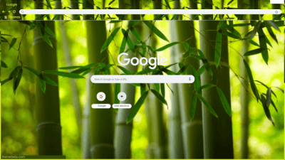 Bamboo Forest 