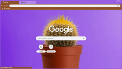 cactus with purple background