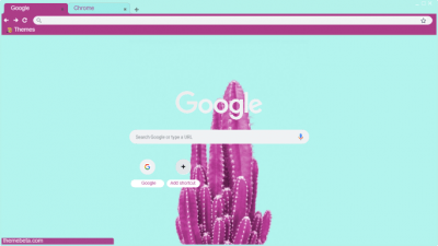 pink cactus on turquoise background