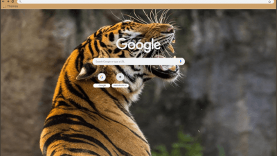  Roaring Tiger | Black & Gold color theme