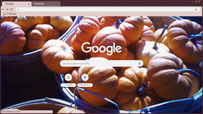 Mini pumpkins in bushel baskets