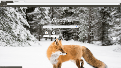 Red Fox in a Snowy Forest