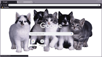 aesthetic y2k cat chrome theme ₊ ✧ ﾟ.