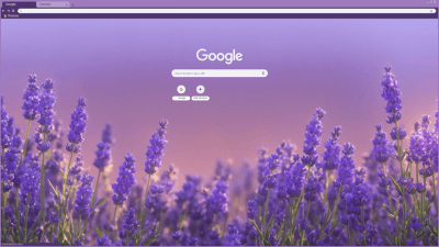 Screen full of lavender