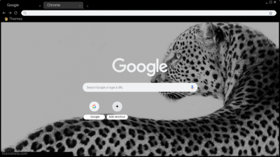 Panter black white theme