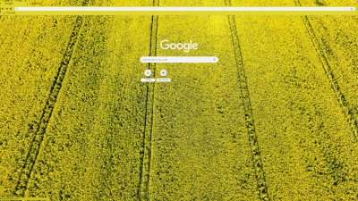 Rapeseed field