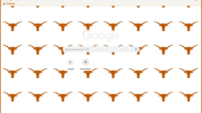 Texas Longhorns