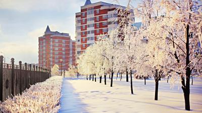 ❄ Snowy Cities ❄