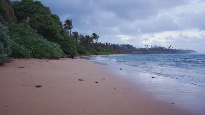 BEACH N SEA by RJ