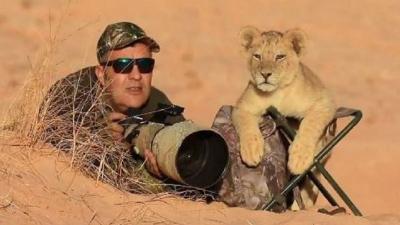 Photographer Becomes Visit From Little Lion 