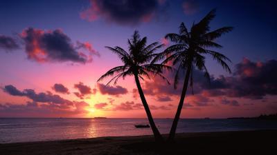 beach at sunset.