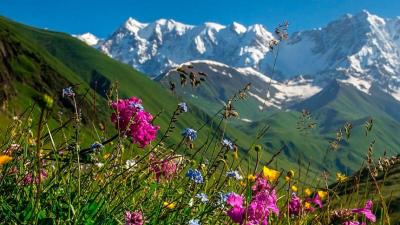 Carpathian Mountains