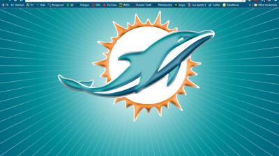 Miami Dolphins – BRIK