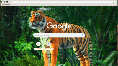 google chrome safari theme