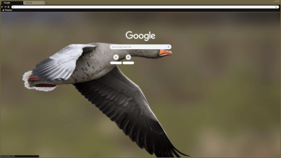 desktop goose google chrome
