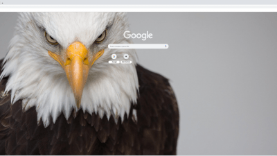 Harpy Eagle Wings Spread Chrome Theme - ThemeBeta