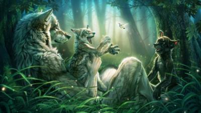 Wolf Pups Windows Theme - ThemeBeta