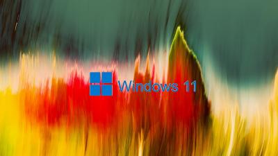Windows 11 Custom wallpaper Windows Theme - ThemeBeta