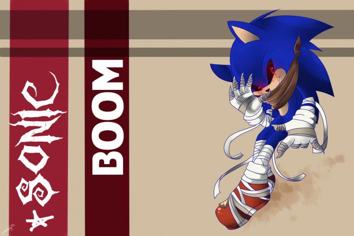 ҽlαíα ₍ᐢ..ᐢ₎♡̷ ִֶָ . ָ࣪ on X: Supporting the Sonic Boom