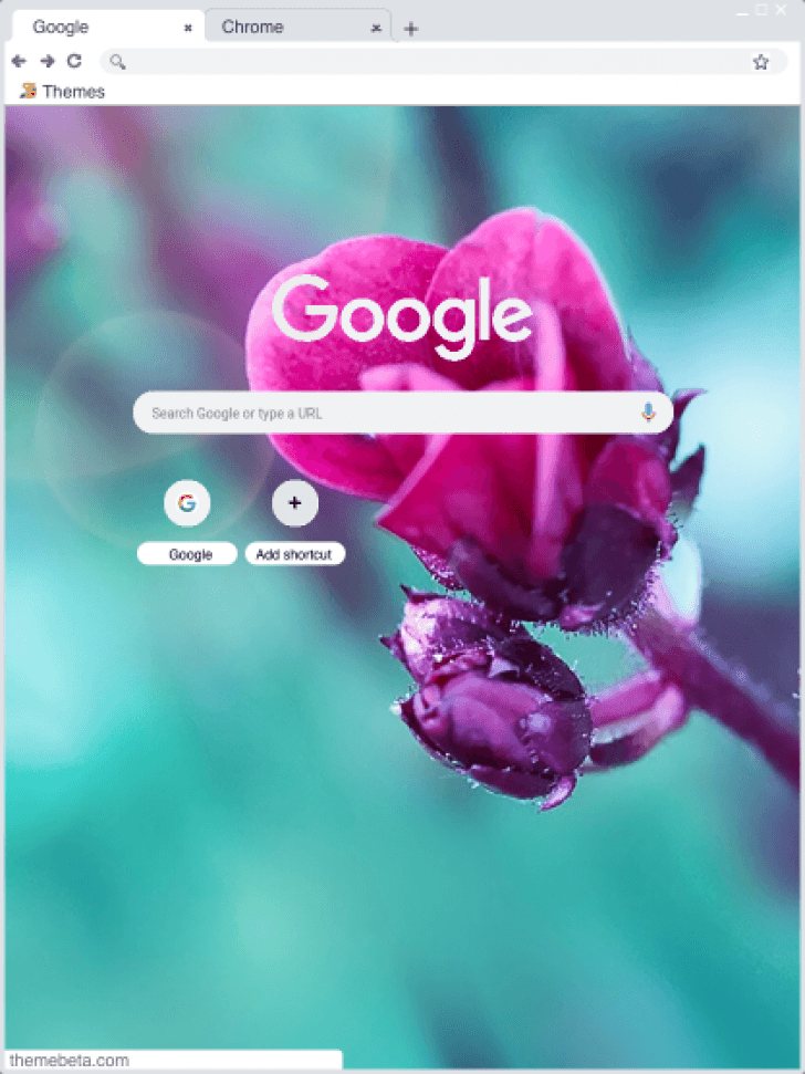 chrome-theme-themebeta