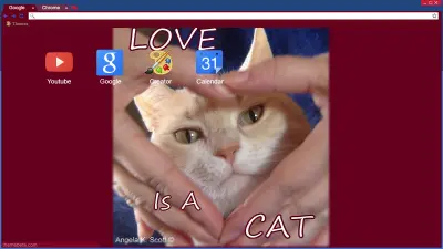 Love Is A Cat