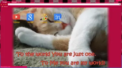 You Are My World Cat