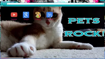 Pets Rock Cat