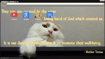 God Created Cat