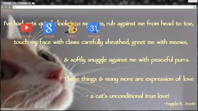 CATS LOVE POEM