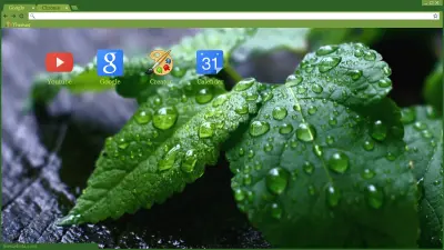 Raindrops on Leaves