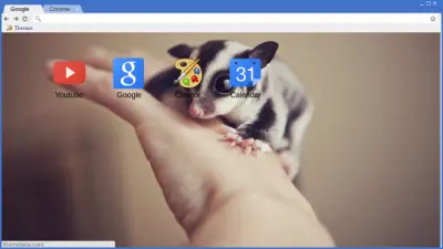 Sugar Glider 