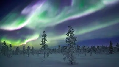 Snowy Northern Lights