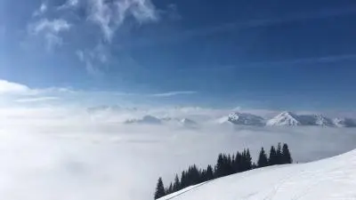 Snowy mountain and trees