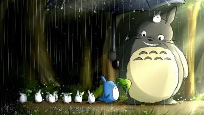 totoro  aesthetic