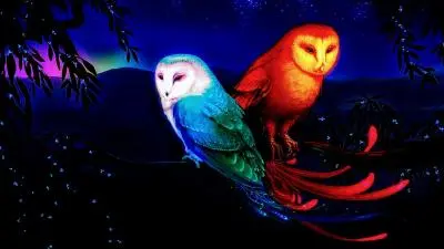 fire and ice owl 