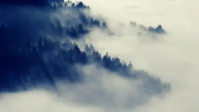 Foggy Landscapes