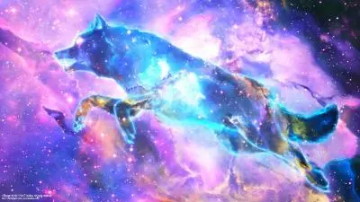 galaxy wolf