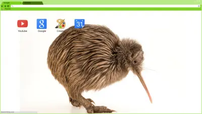 Kiwi