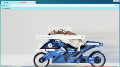 Motorcycle Hamster